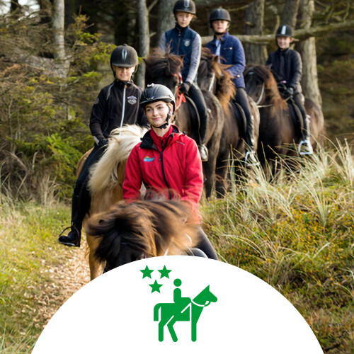 &Oslash;vet nybegynder 2026